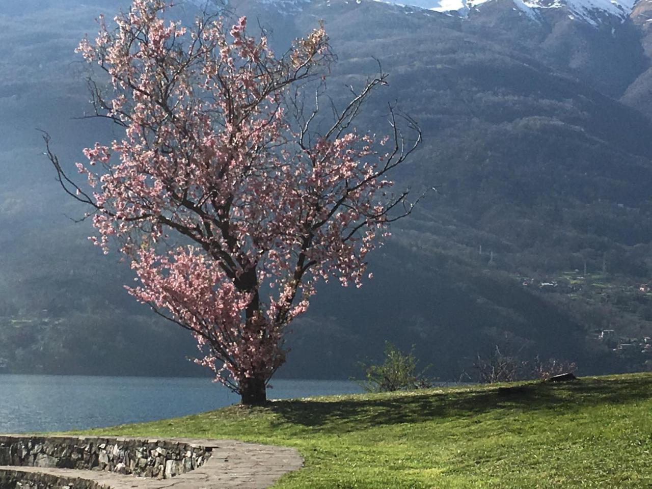 Riflessi Di Lago Dorio Exteriör bild